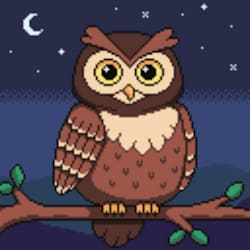 shona_87