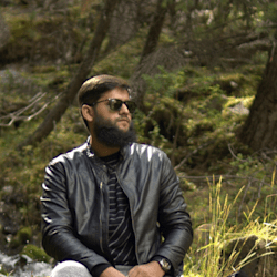 Gig Seller - hamza_teamalif