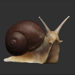 aderojy