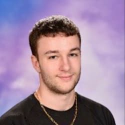 greytt_goose1