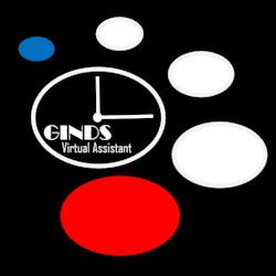 gindsva310