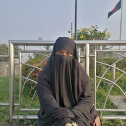 web_dev_sumi26