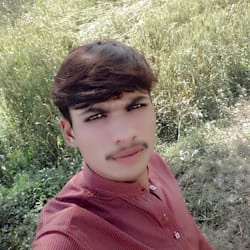 faisalfaisal460
