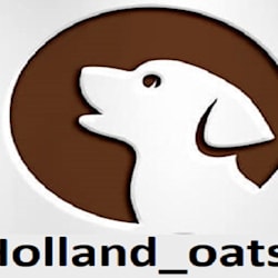 holland_oats2