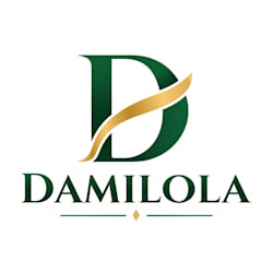 damilola8303