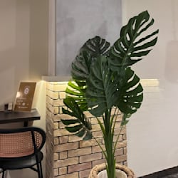 anayaibrahim965