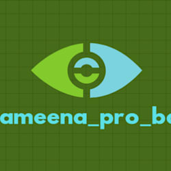 yameena_pro_bot