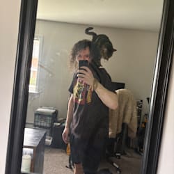 pvnisher