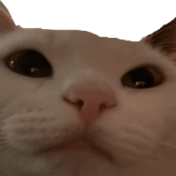 fierzimo