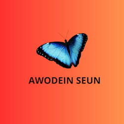 awodein_seun1