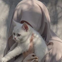 hafizaanno