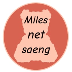 milesnetsaeng