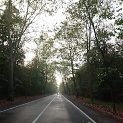 yurix_y