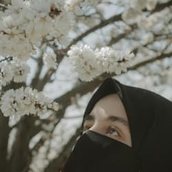 ayesha_tenzeem