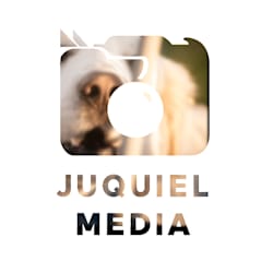 juquielmedia