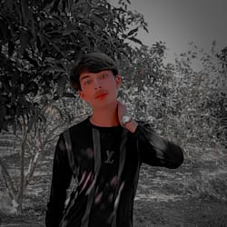 hasebacontent20