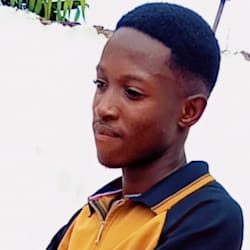 nnaemekaphil452