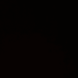 zoha_latief