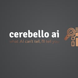 cerebelloai