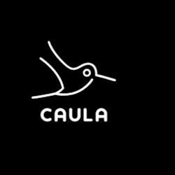 caula_dre