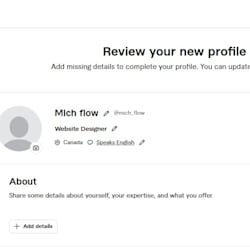 mich_flow