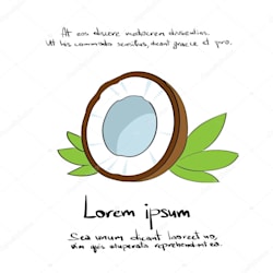 discordcookie