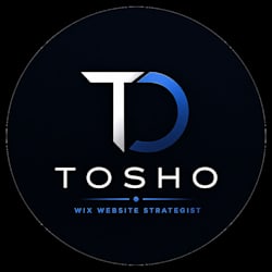 website_exper1