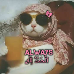 mishi_89