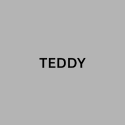 teddy_a12
