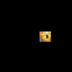 visu79