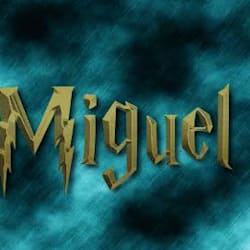 miguel_sak