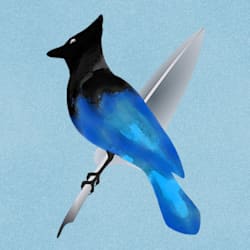 jayelknight