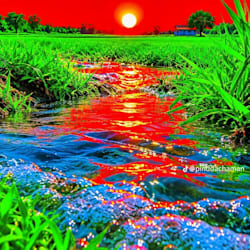 qari51579gmail