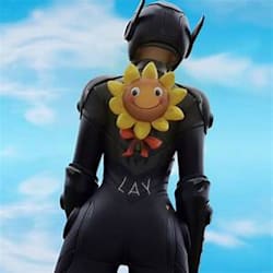 sneekyfn