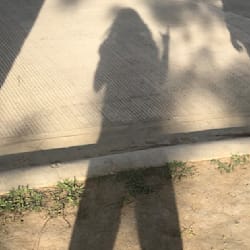 andreacvd