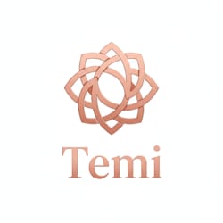 temi1311