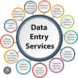saba_dataentry_