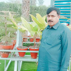 sarmad_exp