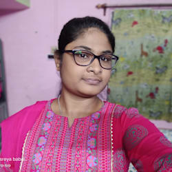 sreya_excel11