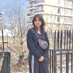 anshi_architect