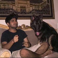 shehryarwork