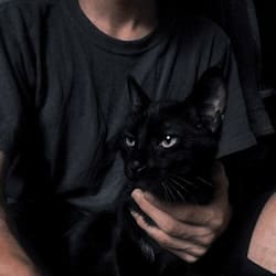 vitaekarma