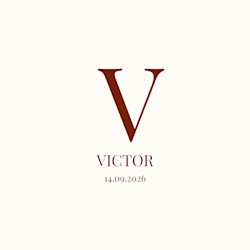 vctrdigital