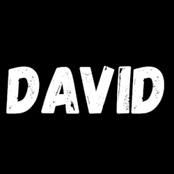david_victory1