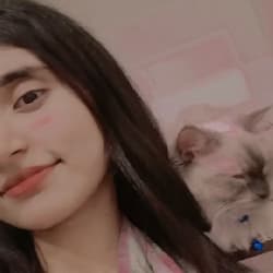 fatima_seopro72