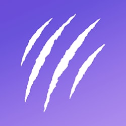 tigerteamdesign