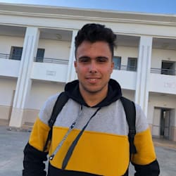 waelbenrejiba
