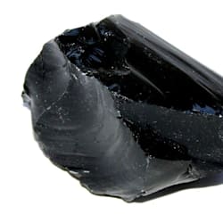 jggurganus