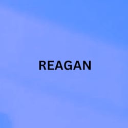 reaganfoster554
