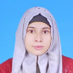 typing_pro24_7